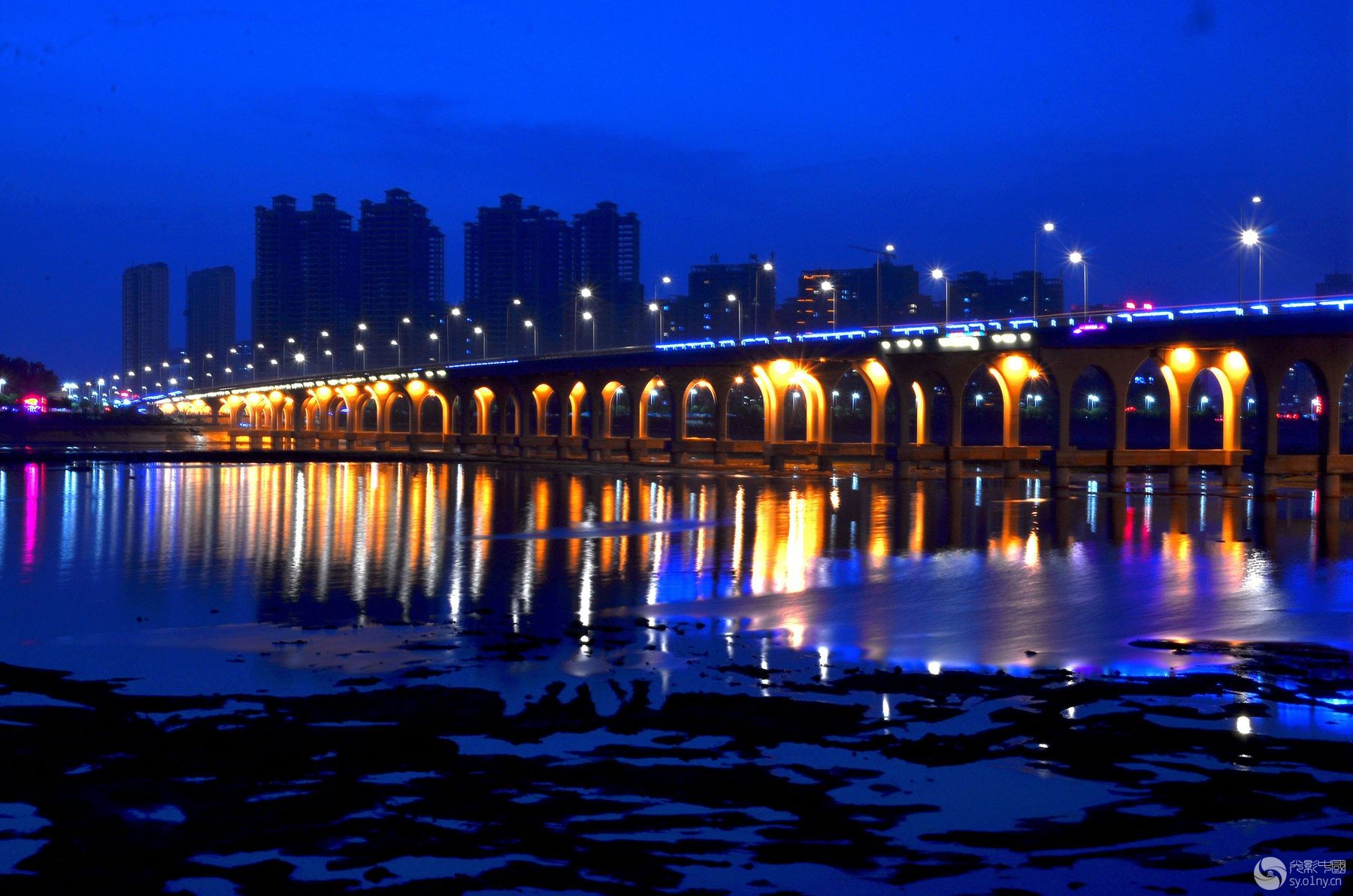 圖說南陽 | 夜色 雪楓大橋